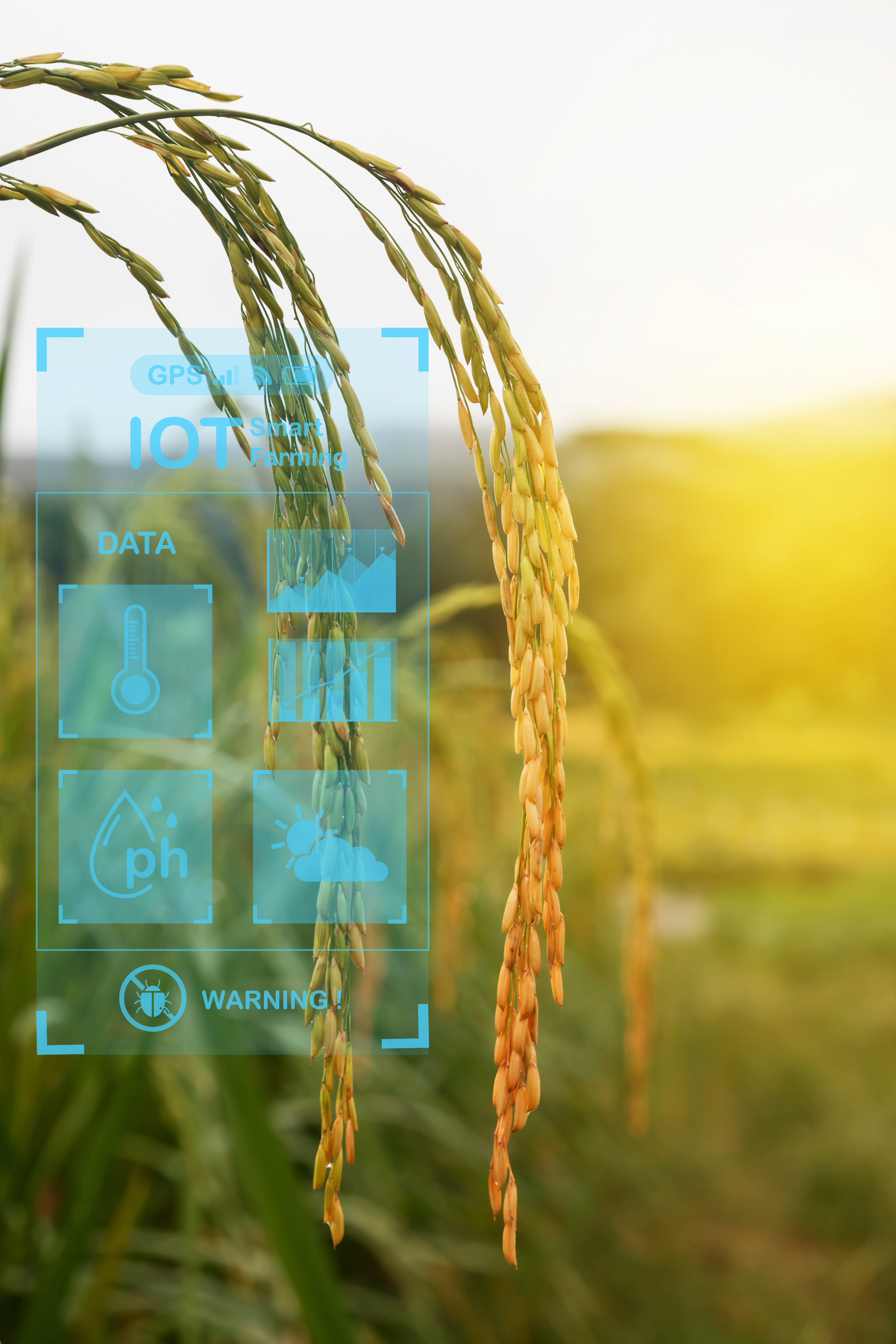 Agriculture IA